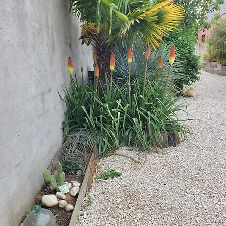 Vakantiehuis Tiny House Cosy 2 - Angers