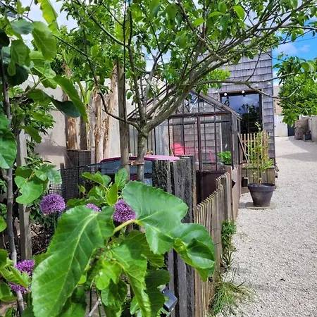 Tiny House Cosy 2 - Vakantiehuis