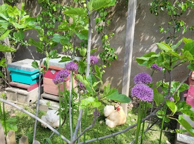 Tiny House Cosy 2 - * Анже