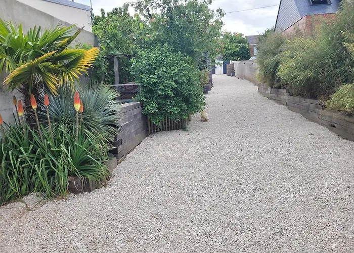 Tiny House Cosy 2 - *