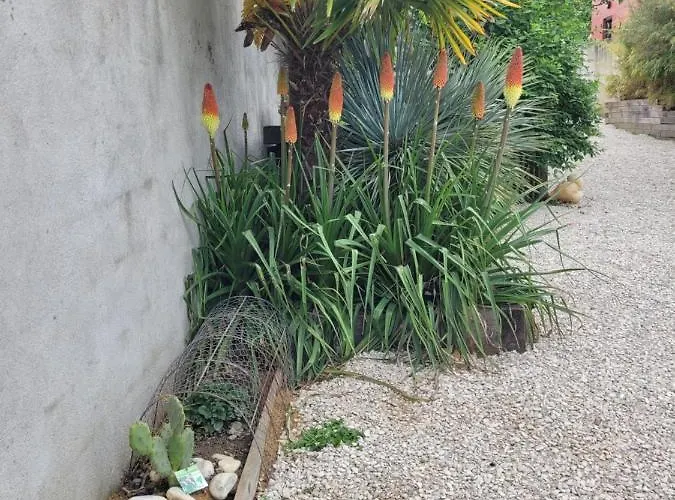 Feriehus Tiny House Cosy 2 - Angers